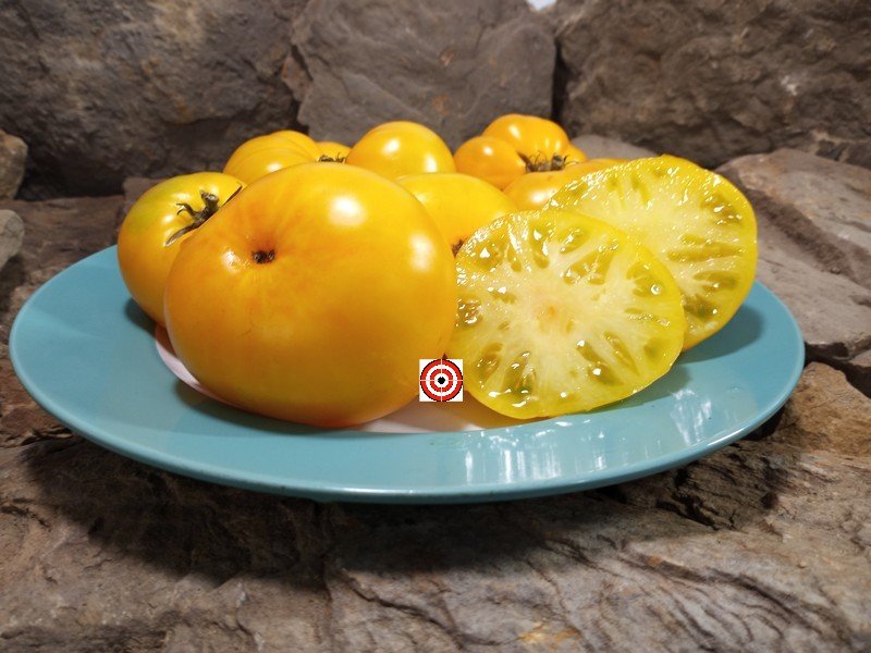 A Popular Dwarf Tomato Dwarf Clare Valley Yellow Tomato Seeds For Sale Here.