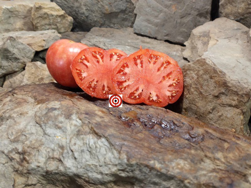 A Popular Large Tomato Dinner Plate Tomato Seeds For Sale Here.