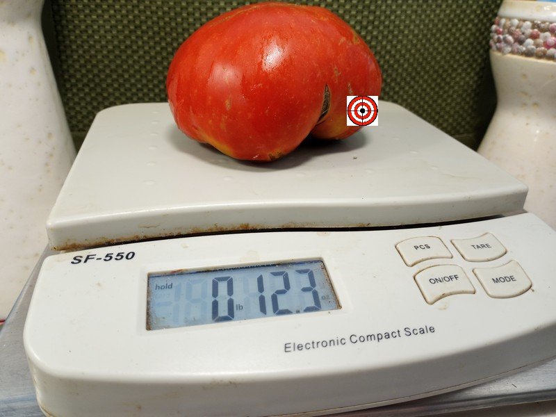 A Popular Sandwich Tomato Dwarf Burpee Giant Tomato Seeds For Sale Here.