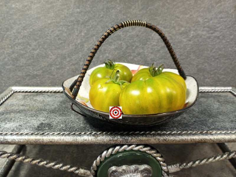 The Best Container Tomato Dwarf Amys Ohio Tomato Seeds Available Here.