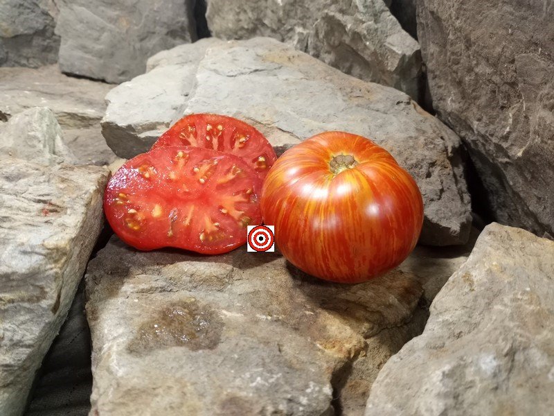 The Best Container Tomatoes Beauty King Dwarf Tomato Seeds Available Here.