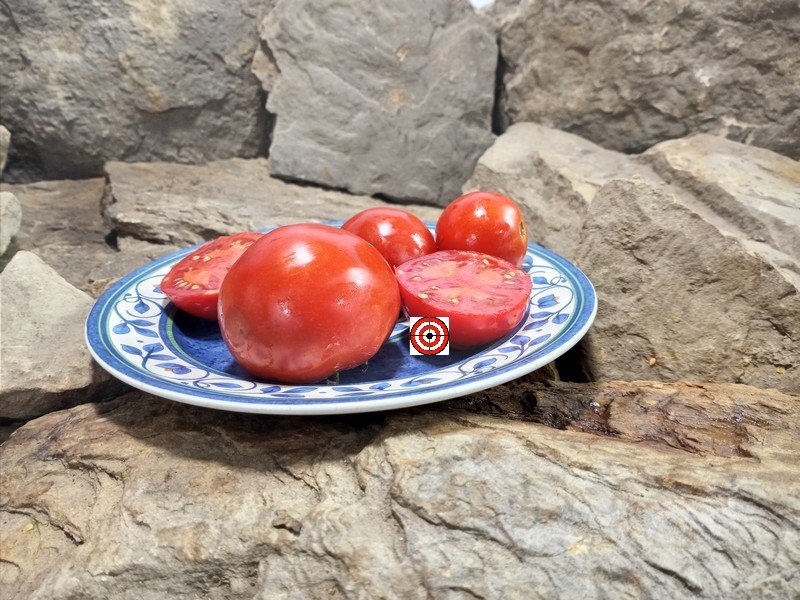 The Best Container Tomatoes Dwarf Broody Hen Tomato Seeds Available Here.