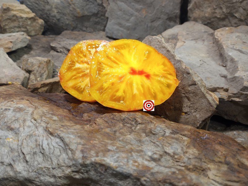 The Best Dwarf Tomato Beauty Of The Surf Dwarf Tomato Seeds Available Here.