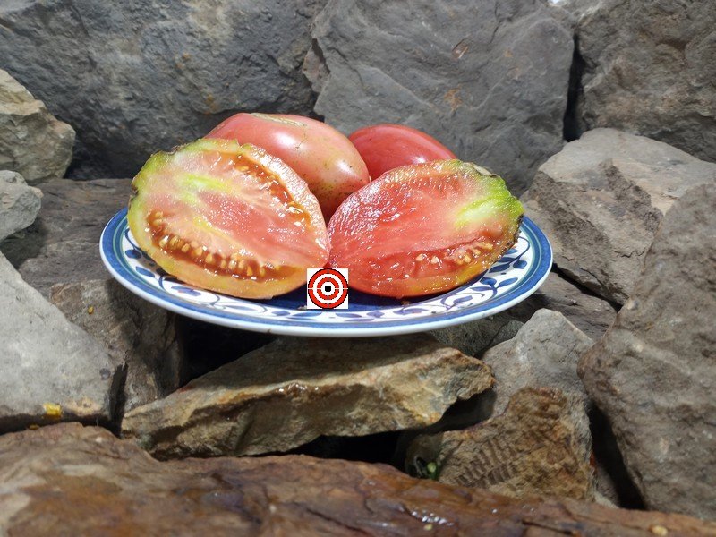 The Best Rare Tomato Donkey Ears Tomato Seeds Available Here.