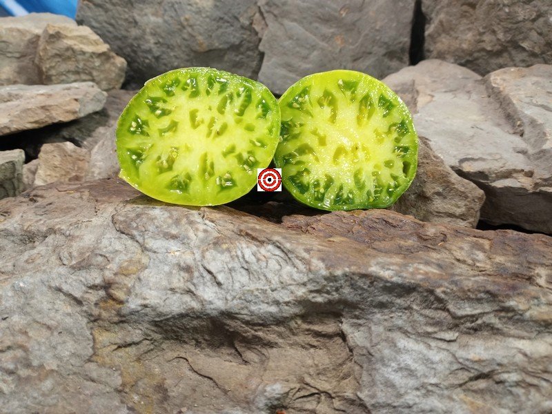 The Best Sandwich Tomato Dwarf Delano Tomato Seeds Available Here.