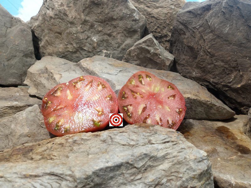 The Best Sandwich Tomato Dotys Black Heirloom Tomato Seeds Available Here.