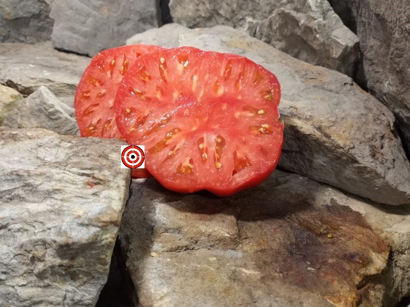 The Best Sandwich Tomato Dwarf Alma's Century Pink Tomato Seeds Available Here.