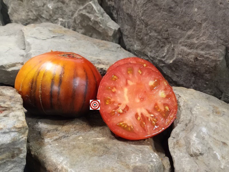 The Best Sandwich Tomato Dwarf Blue Tomato Seeds Available Here.