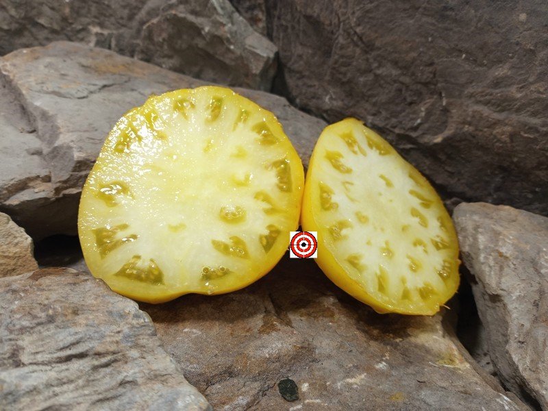 The Best Sandwich Tomato Dwarf Clare Valley Yellow Tomato Seeds Available Here.
