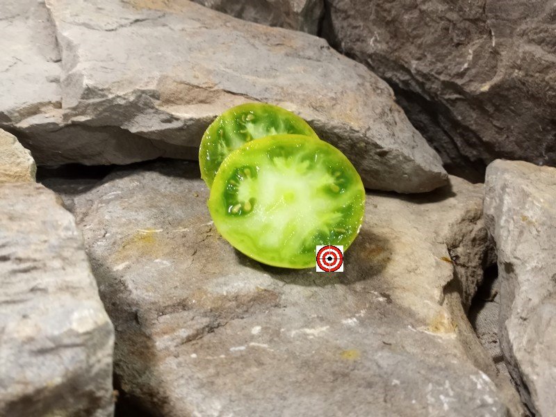 The Best Sandwich Tomato Dwarf Devils Garden Tomato Seeds Available Here.