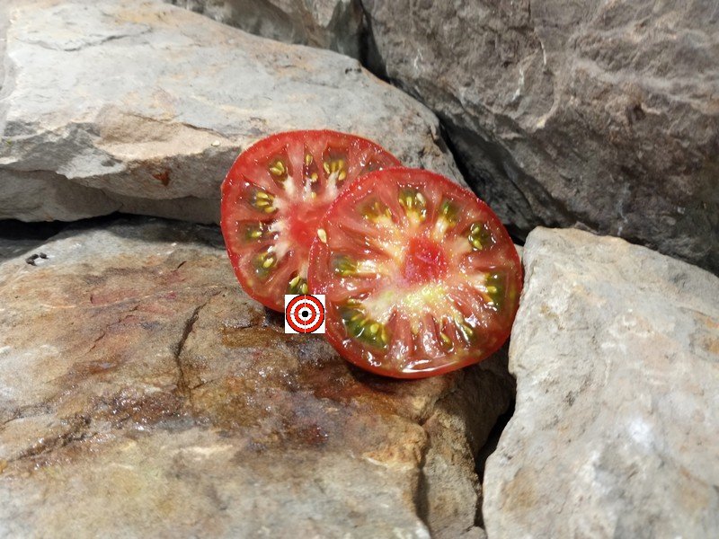 The Best Slicing Tomato Dwarf Crimson Sockeye Tomato Seeds Available Here.