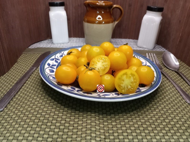 The Best Snacking Tomato Dwarf Eagle Smiley Tomato Seeds Available Here.