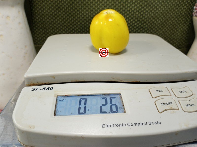 The Best Stuffing Tomato Doochova Yellow Pepper Tomato Seeds Available Here.