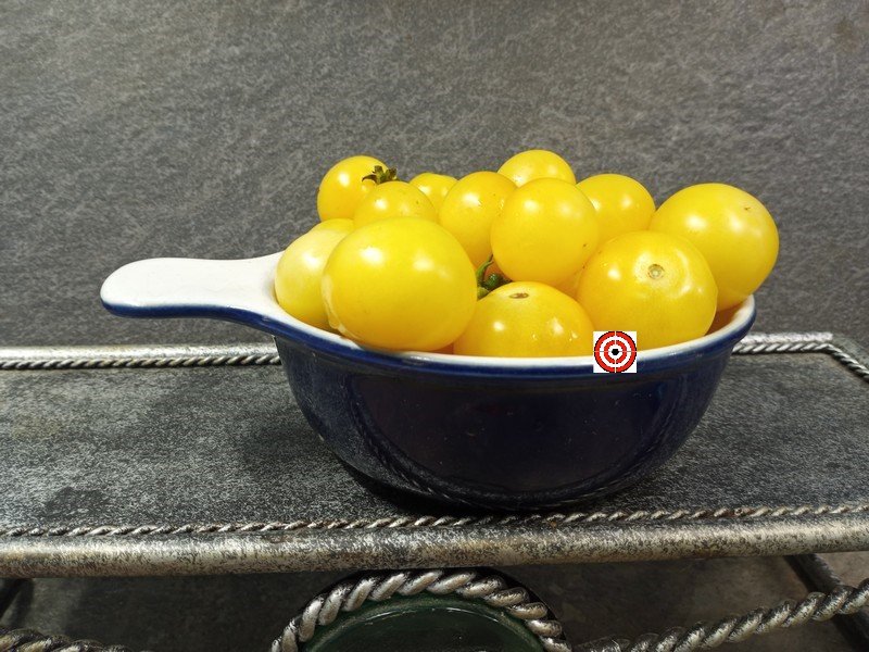The Best Yellow Tomato Dwarf Desert Star Tomato Seeds Available Here.