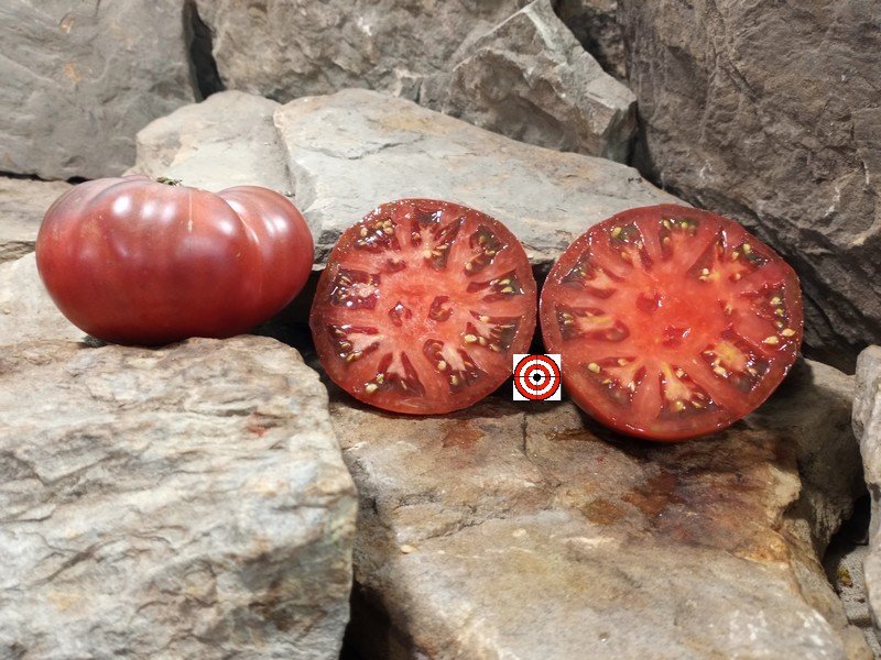 A Popular Black Tomato Dwarf Nanos Meatball Tomato Seeds For Sale Here.