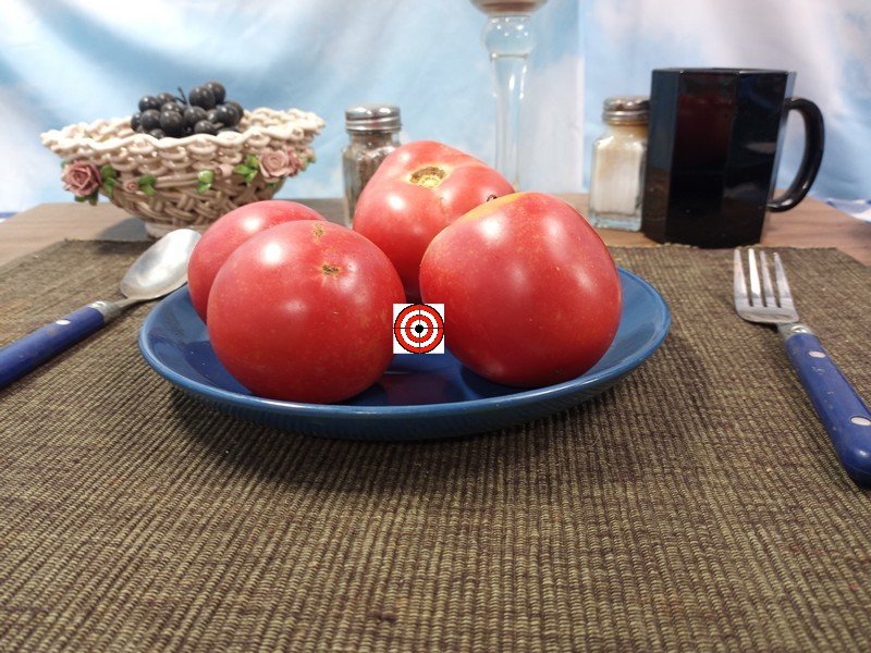 A Popular Container Tomato Dwarf Pink Flamingo Tomato Seeds For Sale Here.