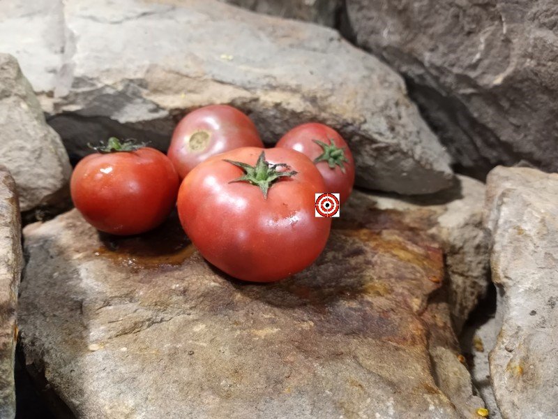 A Popular Dean Slater Tomato Dwarf Grape Nehi Tomato Seeds For Sale Here.