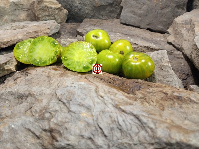 A Popular Dwarf Tomato Dwarf Emerald City Tomato Seeds For Sale Here.