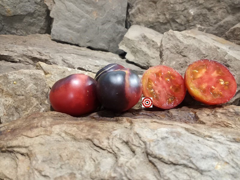 A Popular Dwarf Tomato Dwarf Gondwana Rose Tomato Seeds For Sale Here.