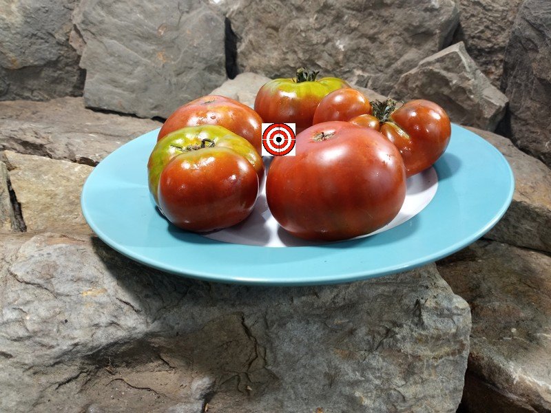 A Popular Dwarf Tomato Dwarf Kookaburra Crackle Tomato Seeds For Sale Here.