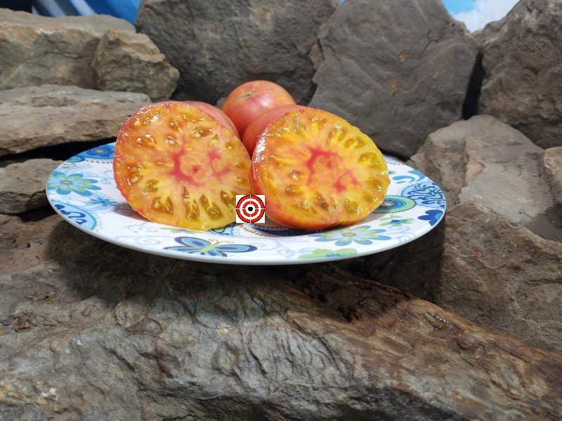 A Popular Dwarf Tomato Dwarf Rosella Bicolor Tomato Seeds For Sale Here.