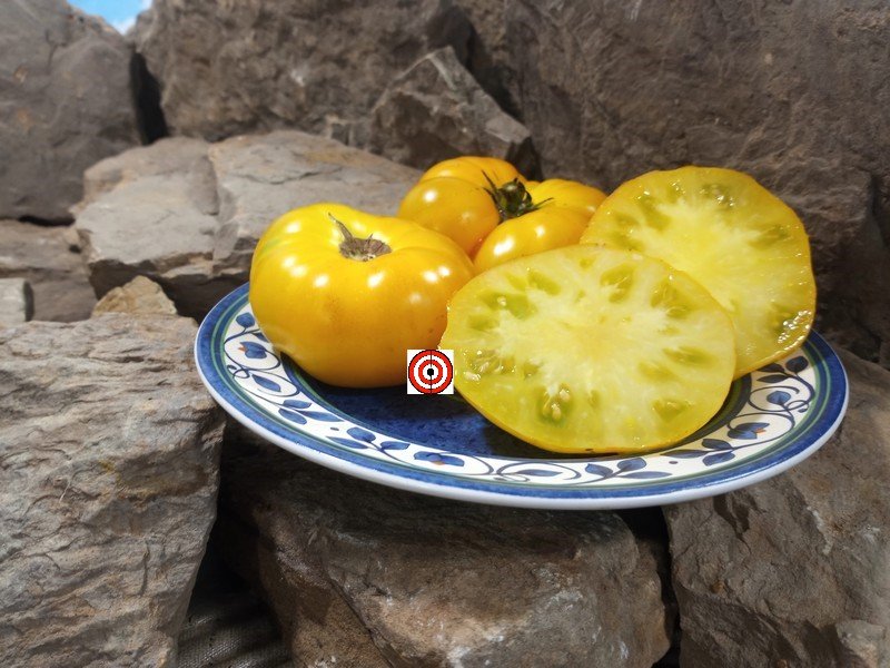 A Popular Dwarf Tomato Jasmine Yellow Dwarf Tomato Seeds For Sale Here.