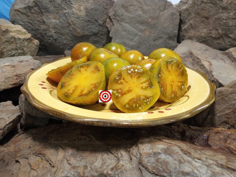 A Popular Dwarf Tomato Project Tomato Jeremy Stripes Dwarf Tomato Seeds For Sale Here.