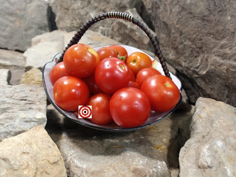 A Popular Red Tomato Dwarf Iras Rose Tomato Seeds For Sale Here.