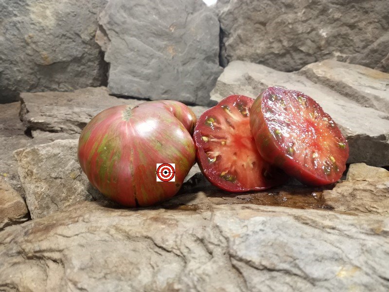 A Popular Slicing Tomato Dwarf Pink Stripes Tomato Seeds For Sale Here.