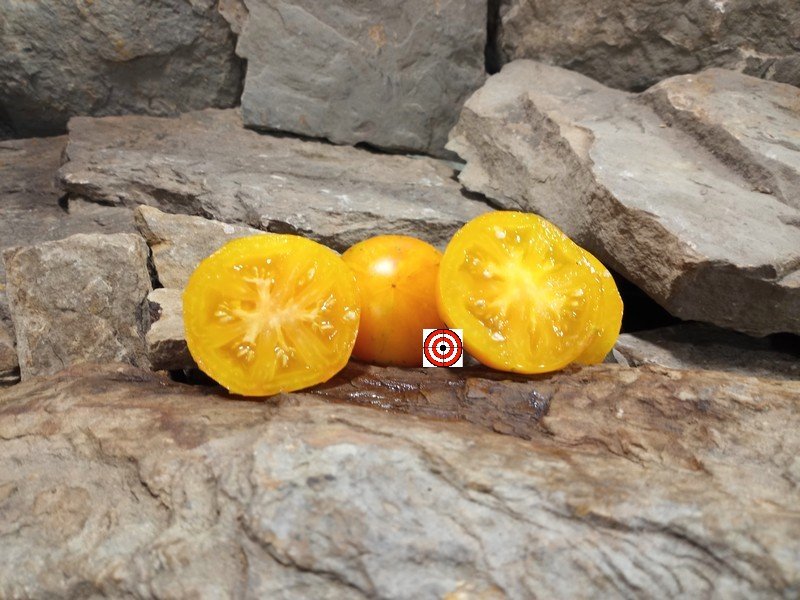 A Popular Yellow Tomato Dwarf Nimu Tomato Seeds For Sale Here.