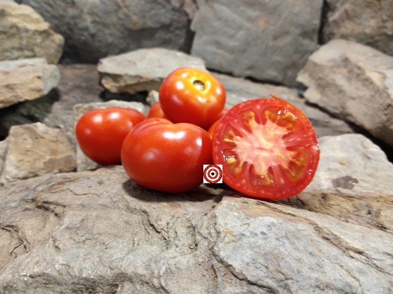 A Rare Dwarf Tomato Dwarf Premus Tomato Seeds For Sale Here.