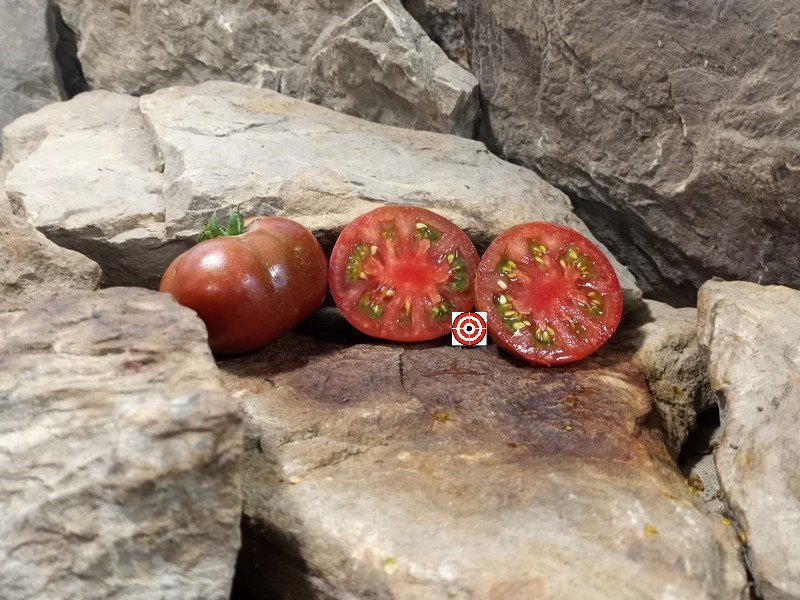 The Best Black Dwarf Tomato Dwarf Grape Nehi Tomato Seeds Available Here.