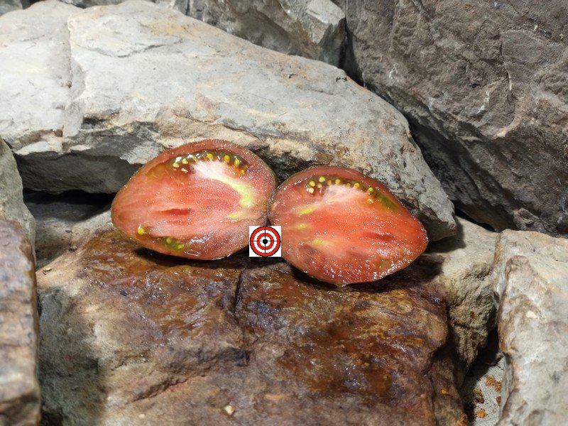 The Best Container Tomato Dwarf Purple Rain Tomato Seeds Available Here.