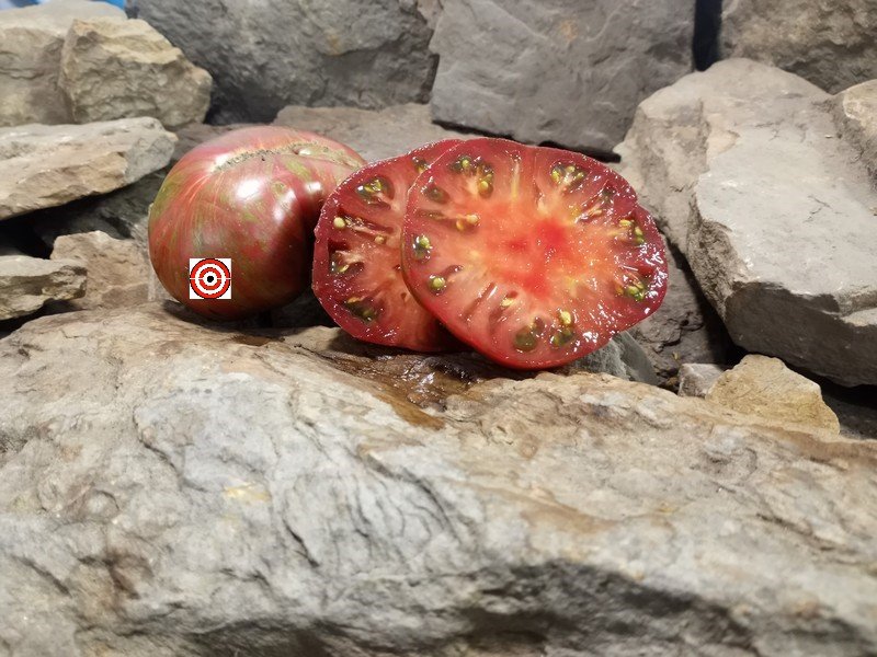 The Best Container Tomatoes Dwarf Pink Stripes Tomato Seeds Available Here.