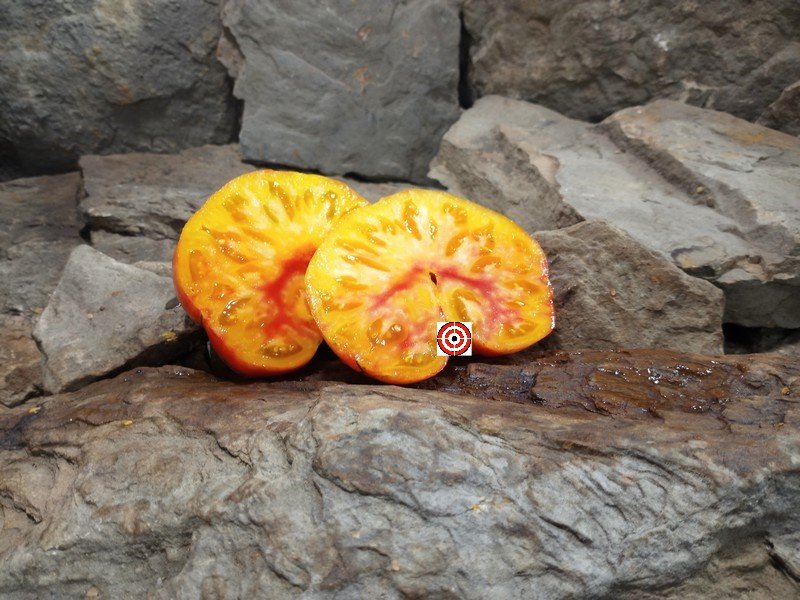 The Best Dwarf Tomato Project Tomato Dwarf Glorias Treat Tomato Seeds Available Here.