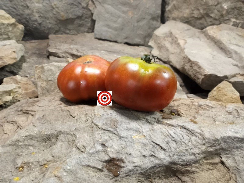 The Best Dwarf Tomato Project Tomato Dwarf Kookaburra Crackle Tomato Seeds Available Here.