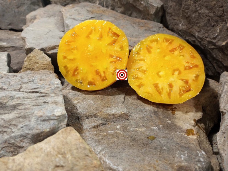 The Best Dwarf Tomato Project Tomato Dwarf Loxton Lass Tomato Seeds Available Here.