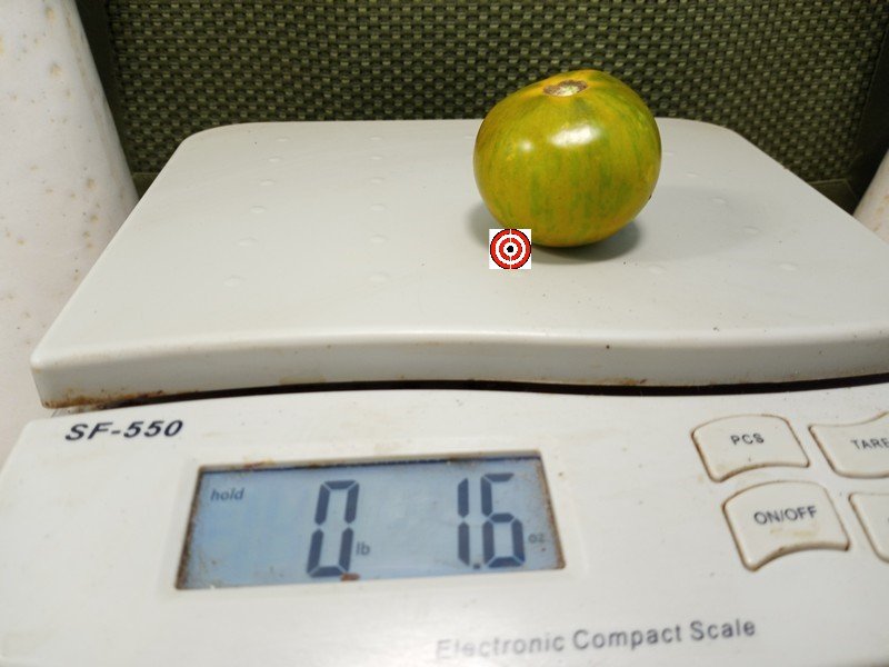 The Best Green Tomato Dwarf Emerald Flame Micro Tomato Seeds Available Here.