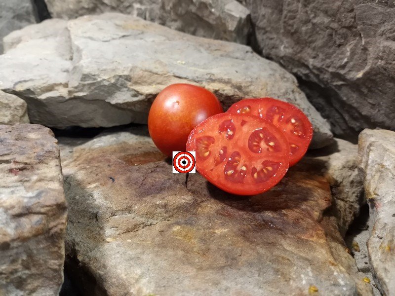 The Best Red Tomato Dwarf Red Heart Tomato Seeds Available At Bounty Hunter Seeds.