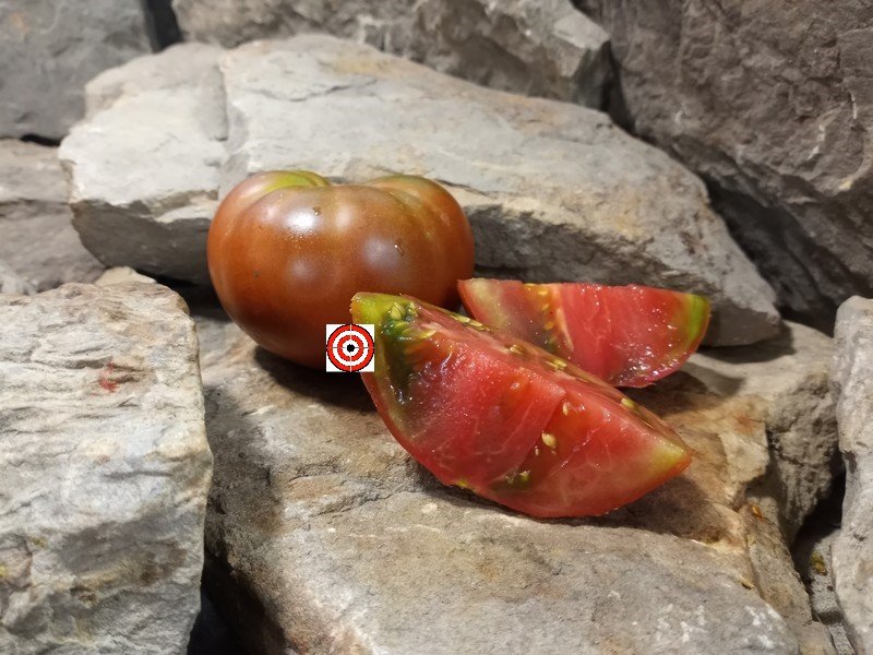 The Best Sandwich Tomat0 Grandmas Chocolate Dwarf Tomato Seeds Available Here.