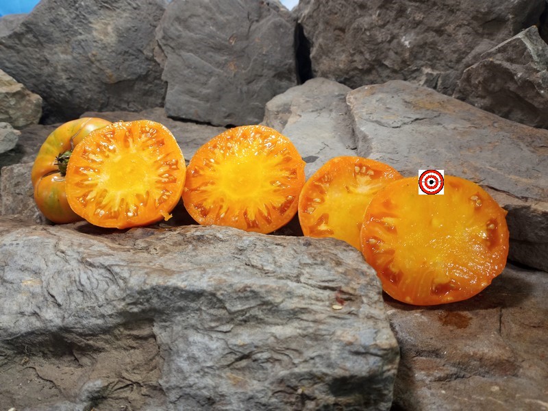 A Popular Beefsteak Tomato Elliot County Orange Tomato Seeds For Sale Here.