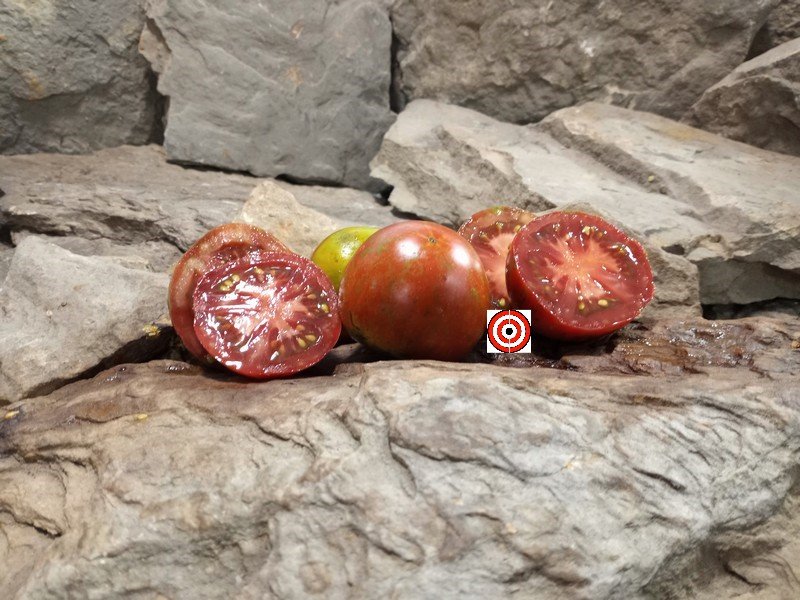 A Popular Black Tomato Dwarf Round Robin Tomato Seeds For Sale At Bounty Hunter Seeds.