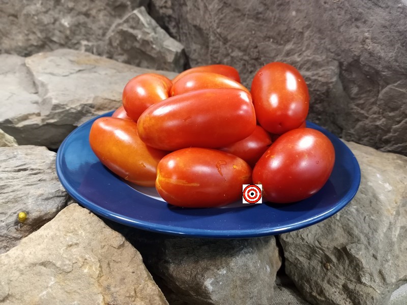 A Popular Canning Tomato Dwarf Zyska Tomato Seeds For Sale Here.