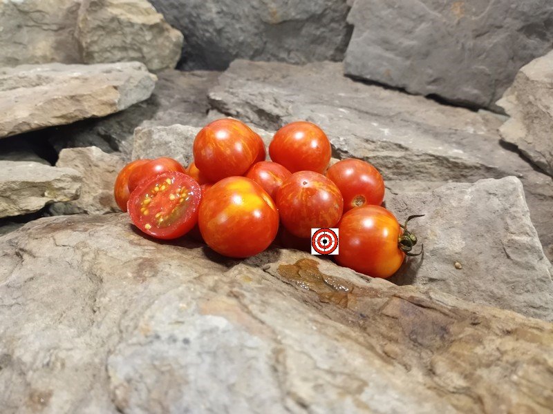 A Popular Dwarf Tomato Dwarf Ruby Slippers Tomato Seeds For Sale Here.