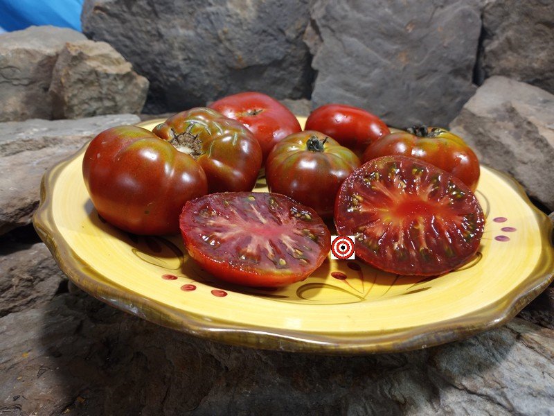 A Popular Dwarf Tomato Dwarf Sleeping Lady Tomato Seeds For Sale Here.