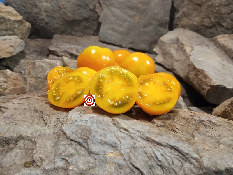 A Popular Dwarf Tomato Sweet Satsuma Dwarf Tomato Seeds For Sale Here.
