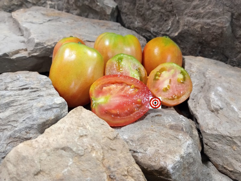 A Popular Fuzzy Tomato Dwarf Woolly Tomato Seeds For Sale Here.