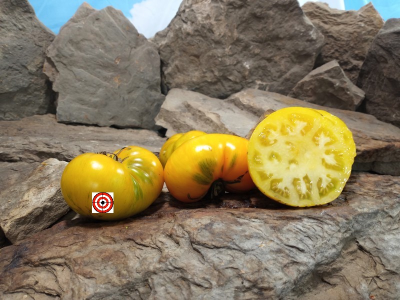 A Popular Heirloom Tomato Fill Bottom Yellow Tomato Seeds For Sale Here.