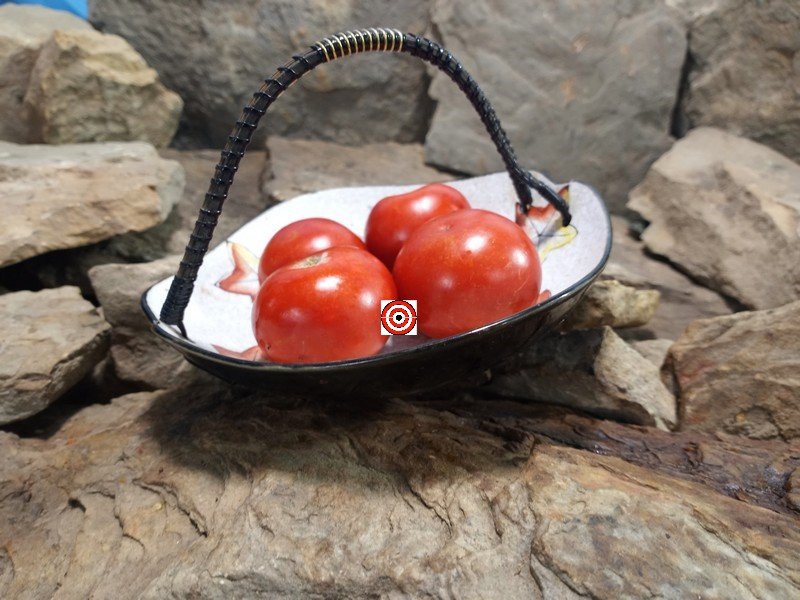 A Popular Red Tomato Dwarf Sub-Arctic Plenty Tomato Seeds For Sale Here.