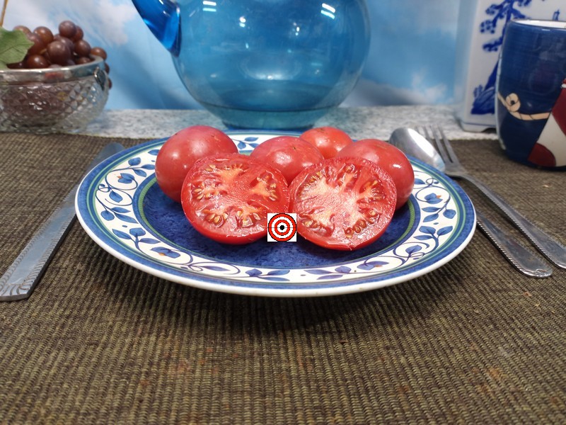A Popular Red Tomato Early Annie Tomato Seeds For Sale Here.